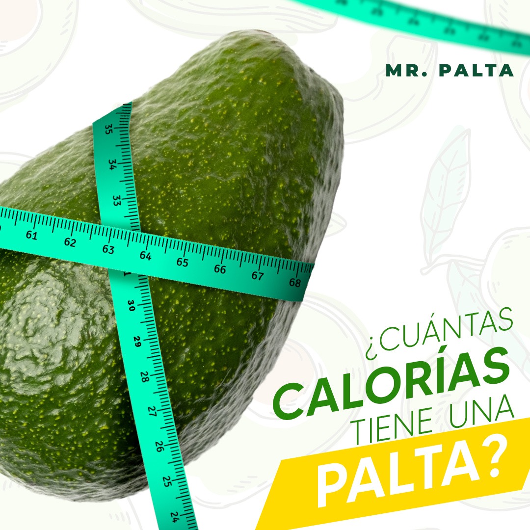 WhatsApp Image 2024-07-18 at 4.41.19 PM